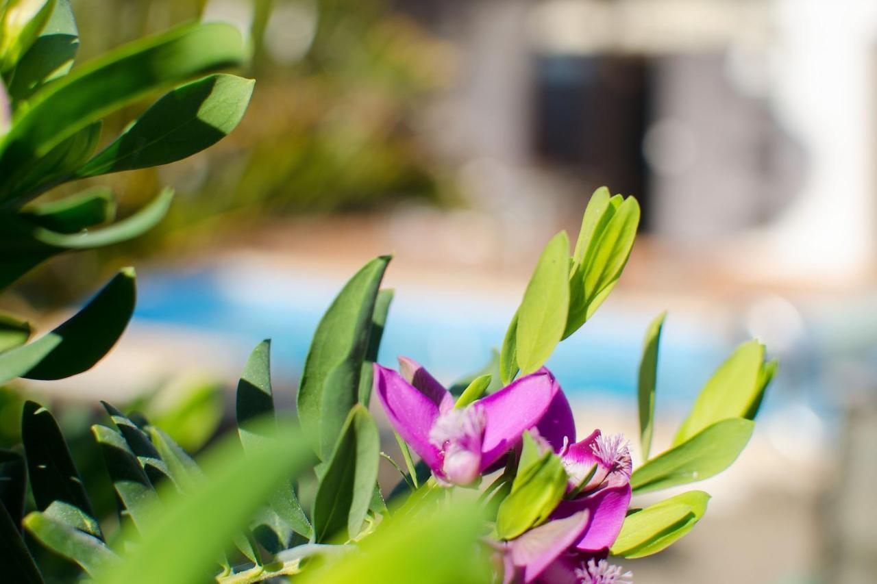 Villa De La Paz Playa Blanca  Ngoại thất bức ảnh